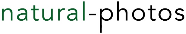 Logo natural-photos